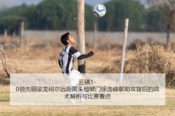 三镇1-0领先铜梁龙绍尔远距离头槌破门徐浩峰献助攻背后的战术解析与比赛看点